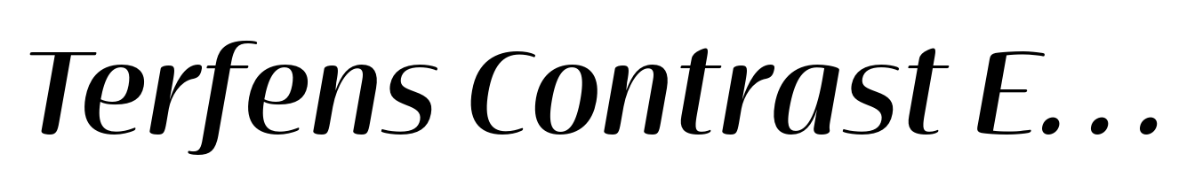 Terfens Contrast Extended Demi Italic